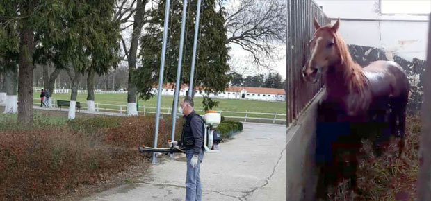 Ергела Љубичево и град под контролом
